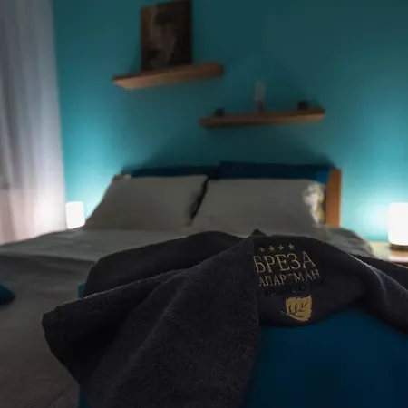 Breza - апартман бреза Apartament Banja Koviljača